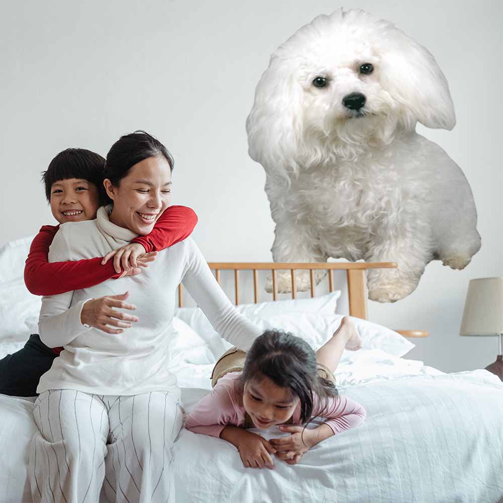 60 inch Sitting Poodle Portrait Wall Decal Installed in Kids Room