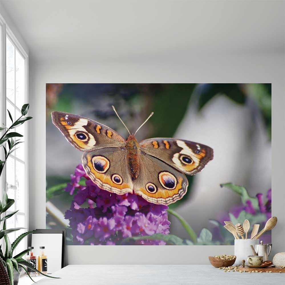 43x60 inch Butterfly on Purple Flower Poster Installed Near Window