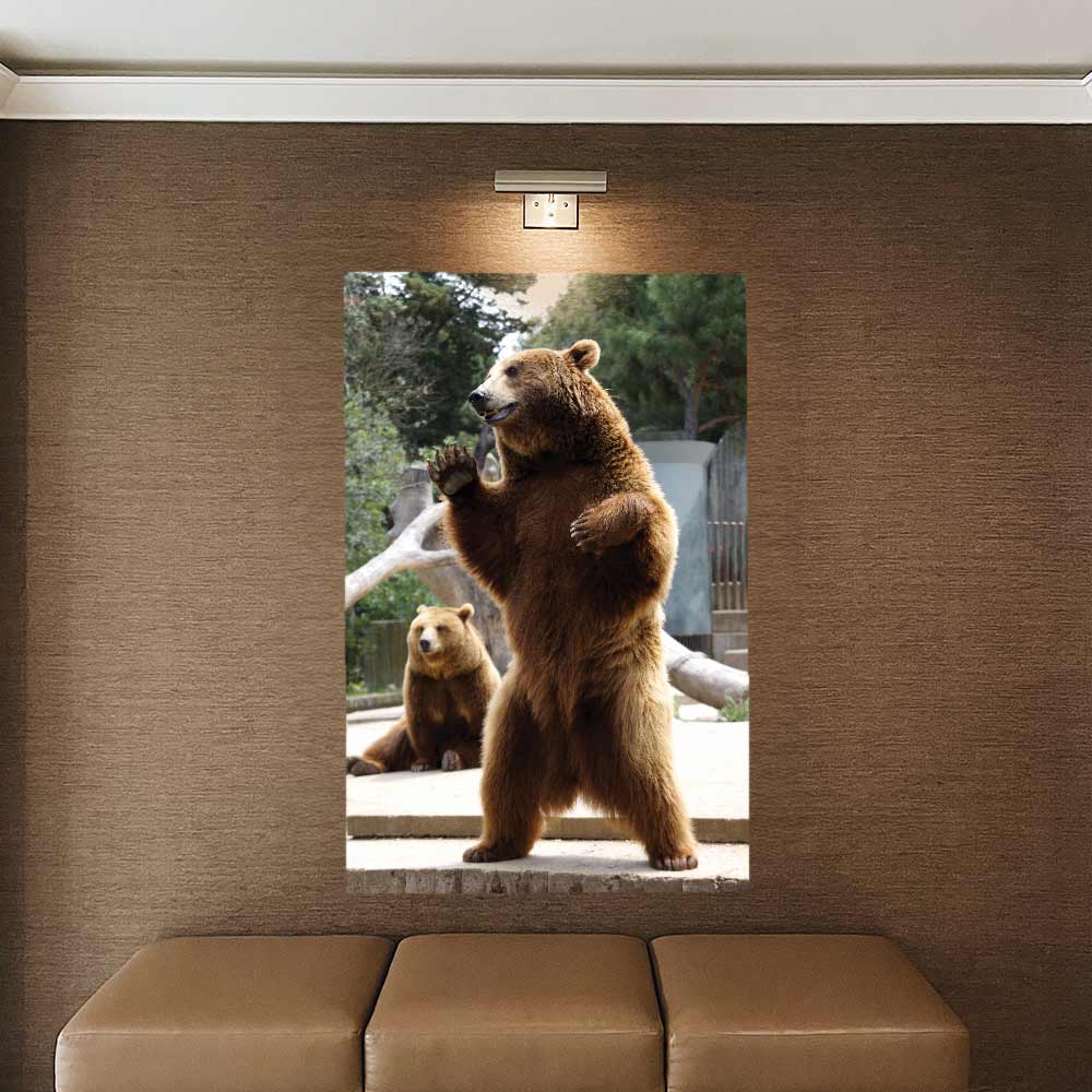 60 inch Standing Bear Poster Displayed in Waiting Area