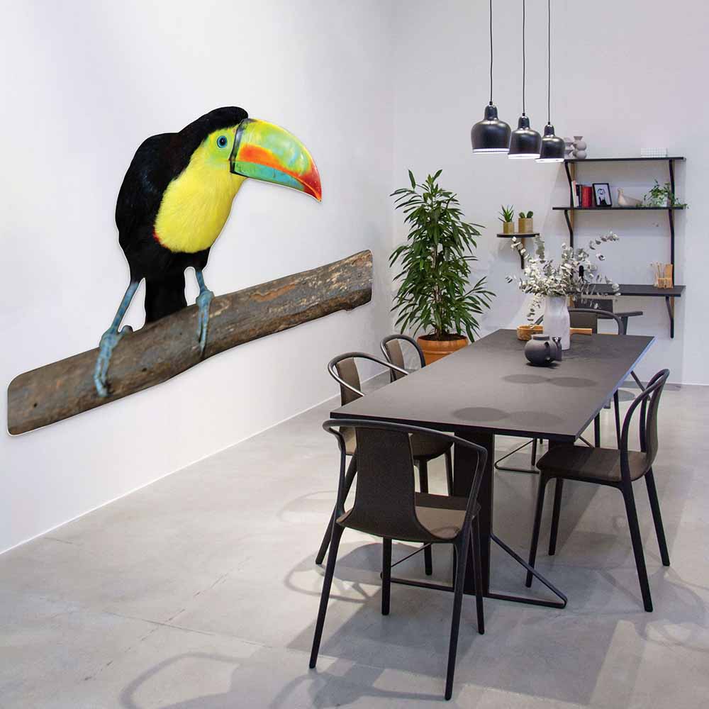 60 inch Toucan Die-Cut Decal Installed in Dining Room