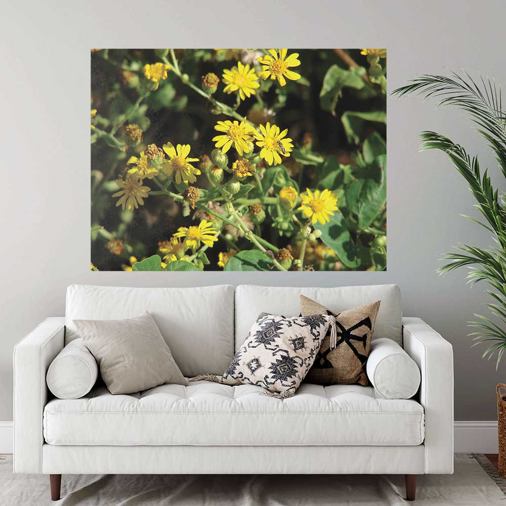 60 inch Daisies Gloss Poster Displayed Above Sofa