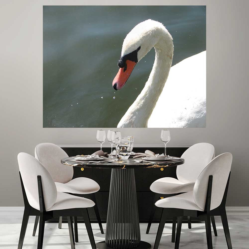 60 inch Majestic Swan Poster Displayed in Dining Room