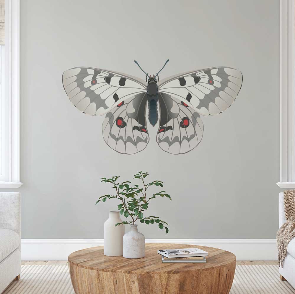 32.5x60 inch Apollo Butterfly Decal Installed in Living Area