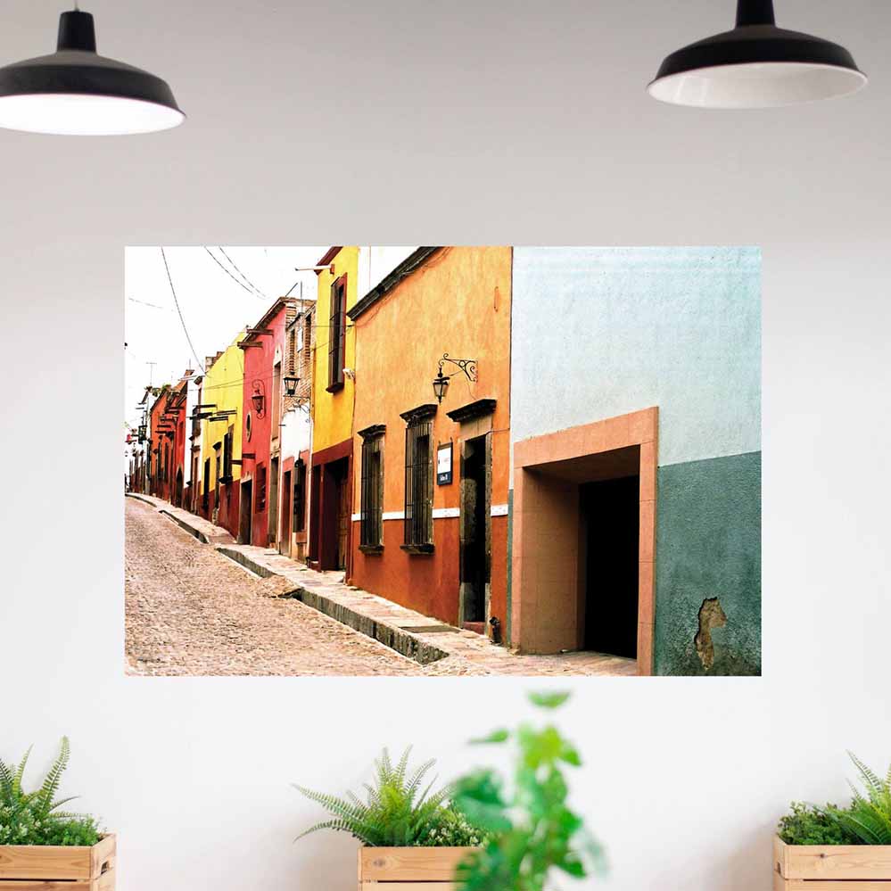 60 inch colorful Mexican city block architecture poster displayed on wall above plants