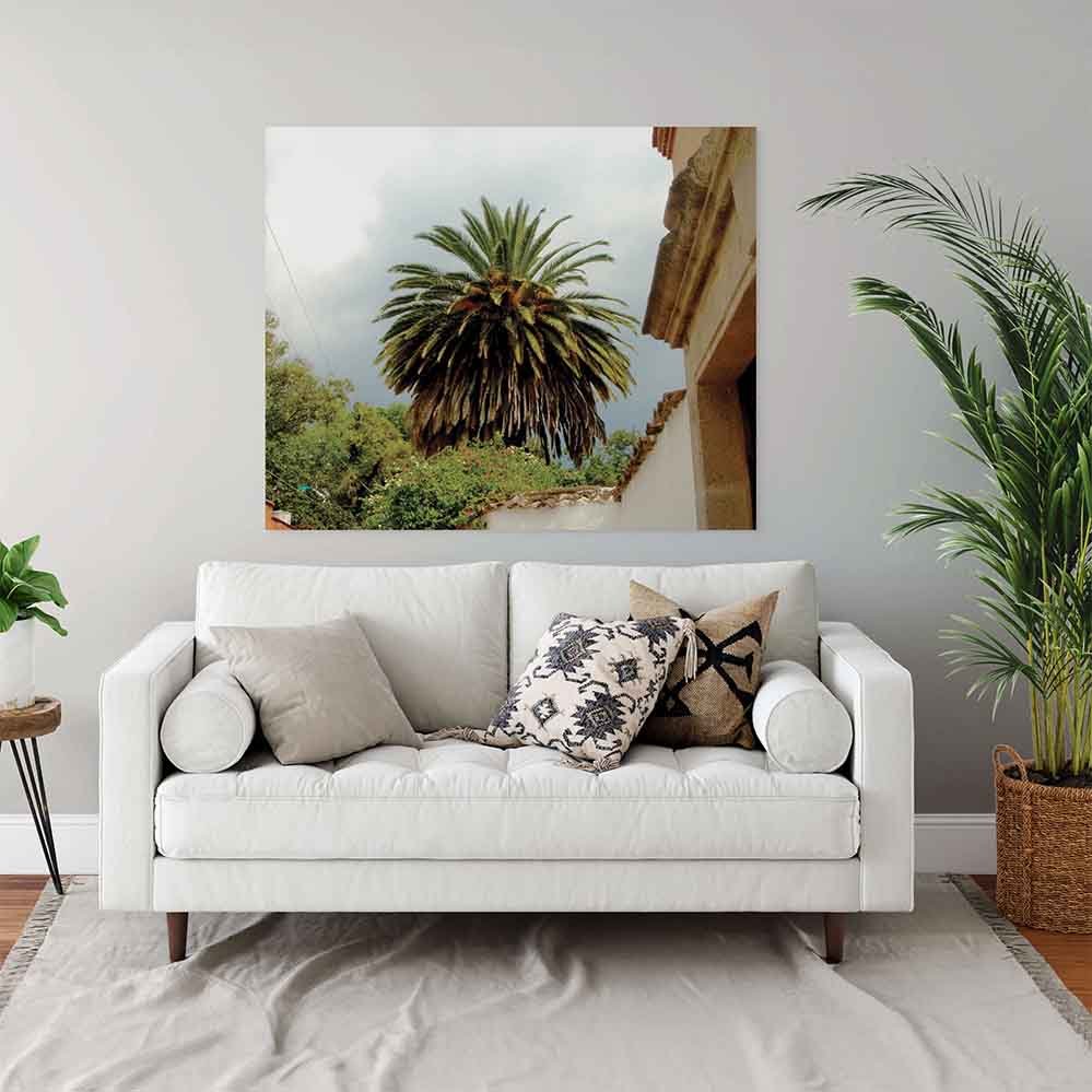 49x60 inch Mexico Palm Tree Decal Installed Above Sofa