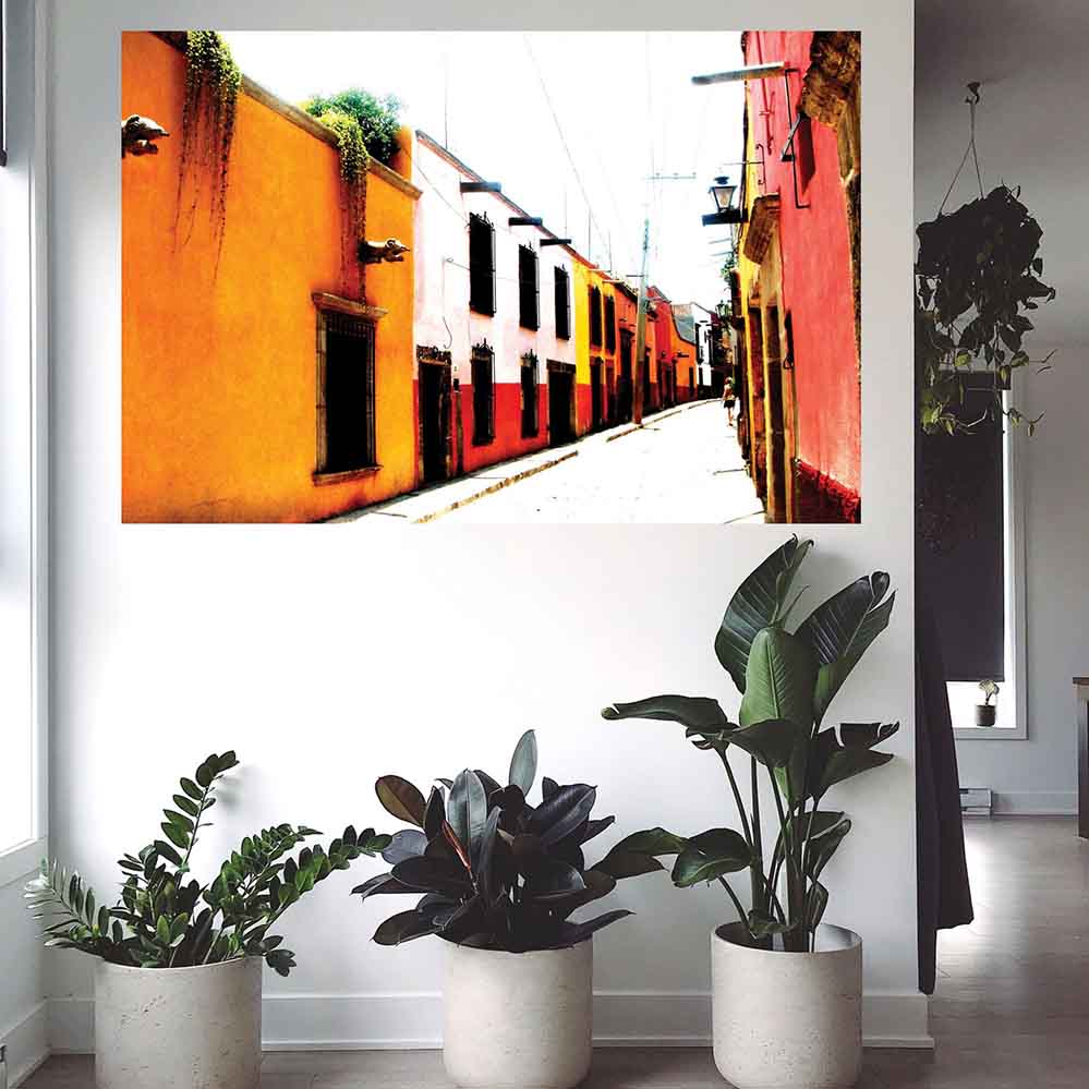 60 inch Mexican Multi-Color Building Architecture poster displayed on wall above indoor plants