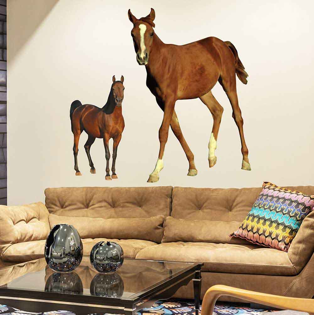 60 inch Young Foal Die-Cut Decal Installed Above Sofa