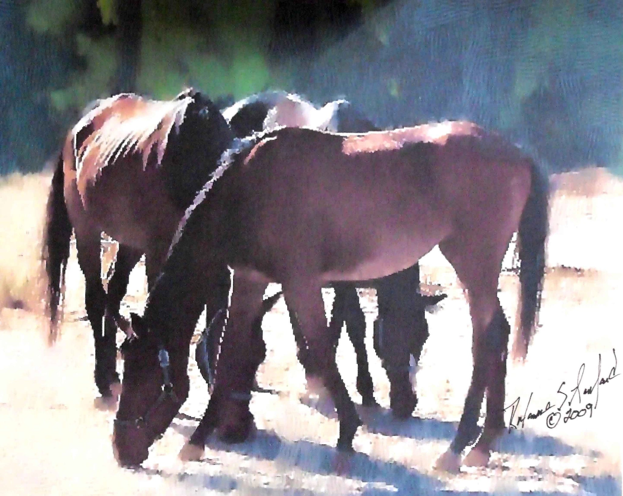 Tymeless Wonders Mustangs Grazing Glossy Poster (4 Sizes Available)