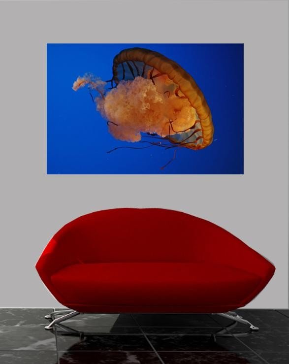 Guernsey Jellyfish I Glossy Poster (5 Sizes Available)