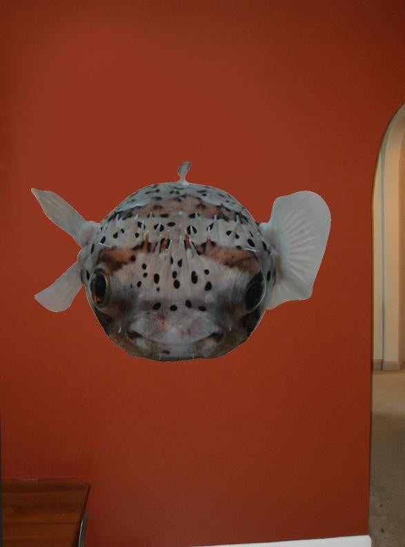 Guernsey Puffer Fish Die-Cut Wall Decal (5 Sizes Available)