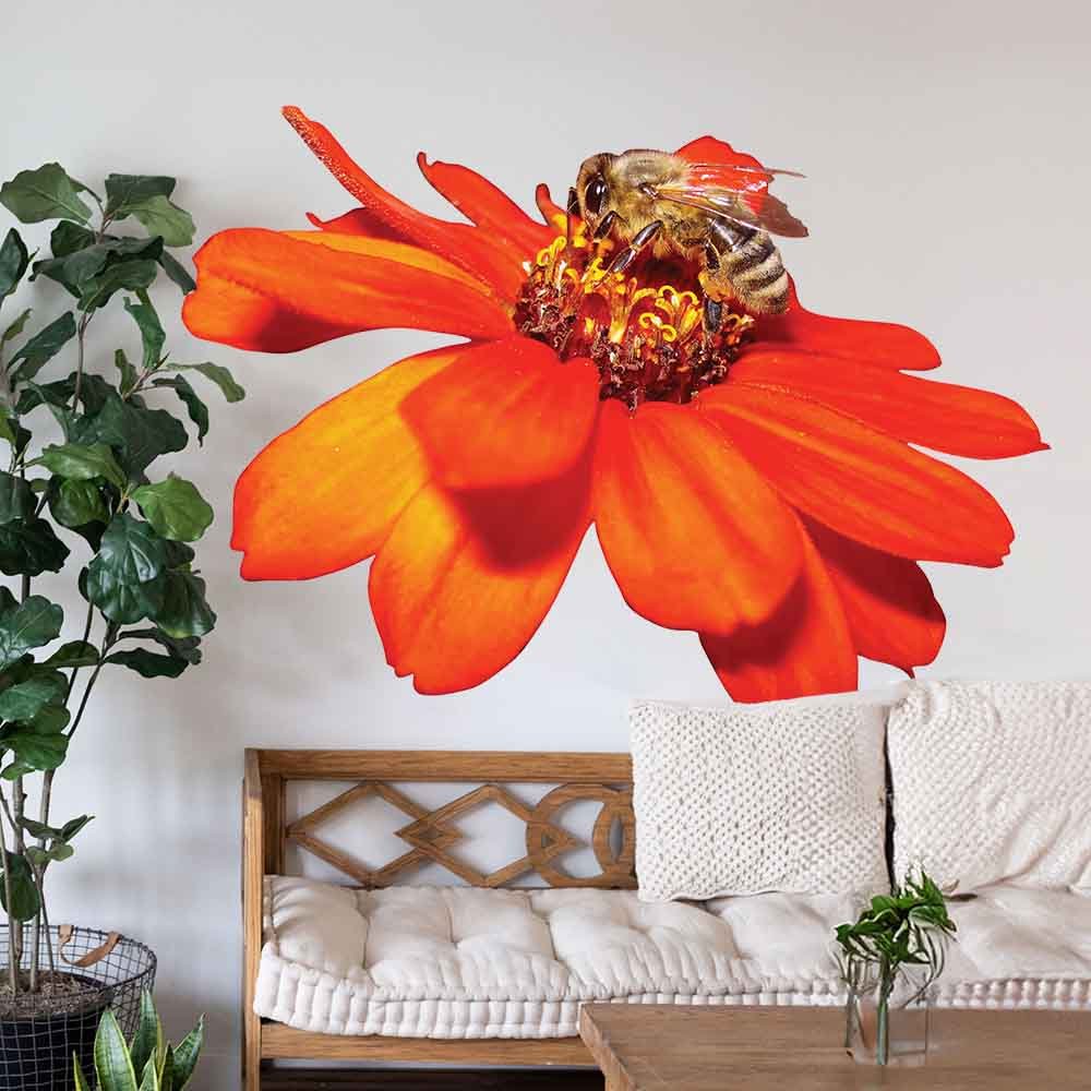 72 inch Pollen Nation Die-Cut Decal Installed Above Sofa