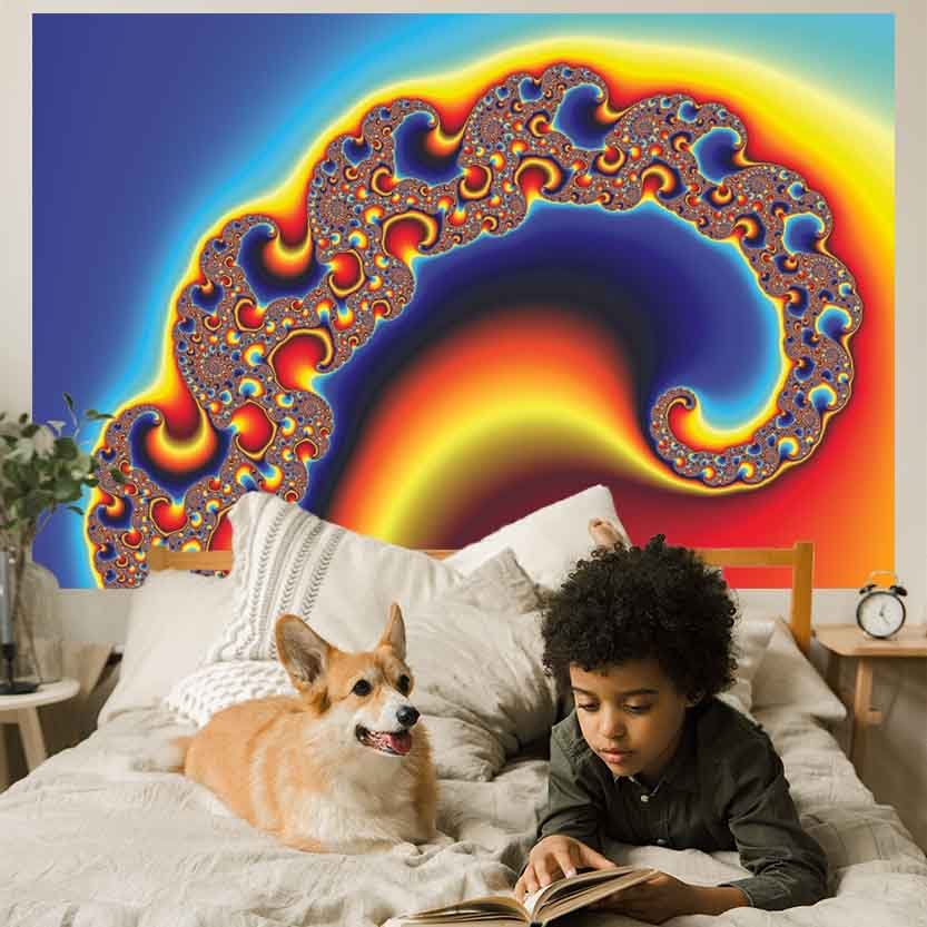 72 inch Dencat Fractal Art Decal Installed in Boys Room