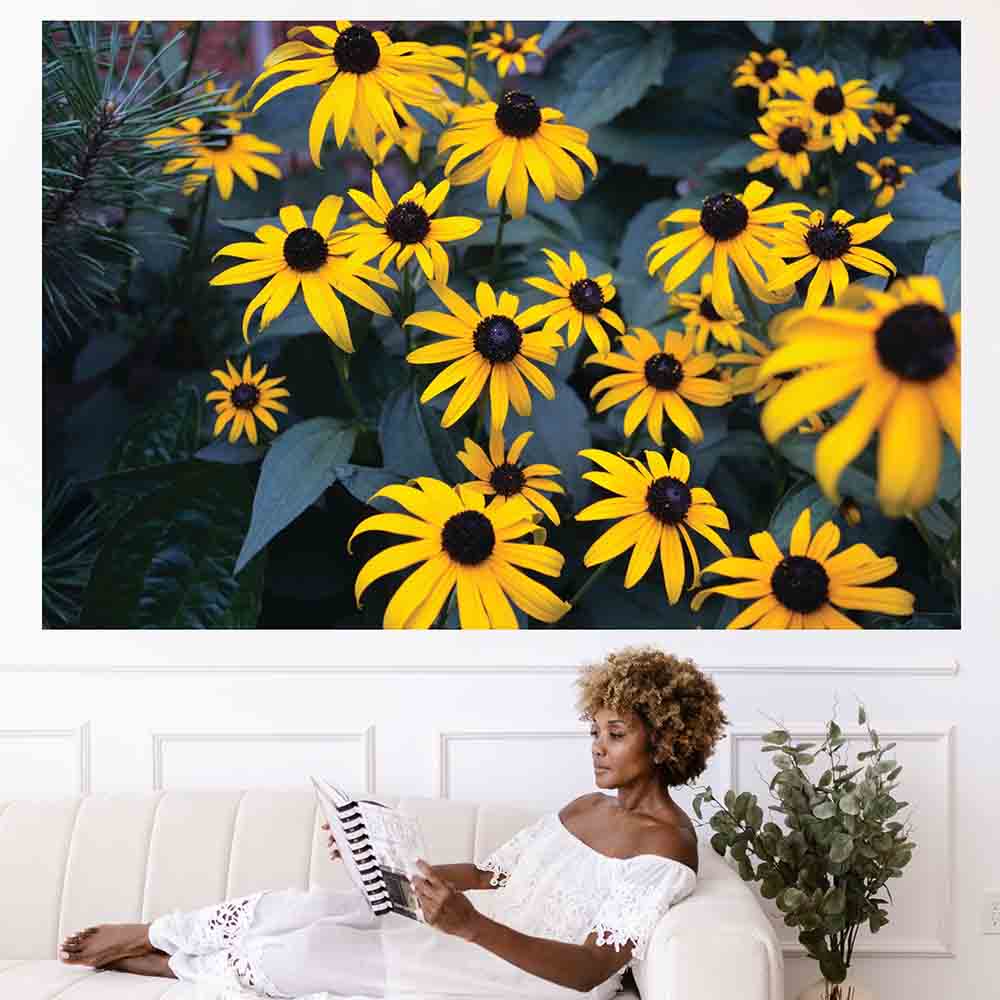 47.5x72 inch Bunch of Daisies Poster Displayed Above Woman Reading