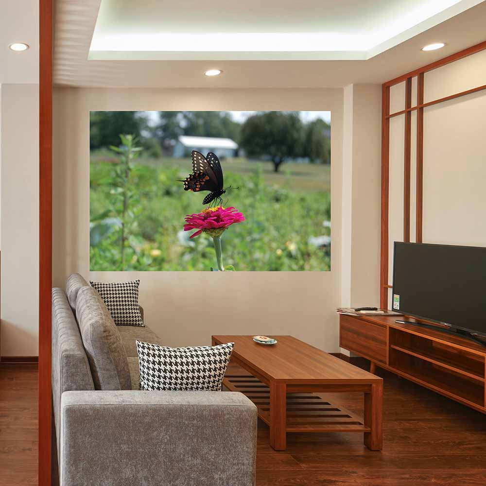 72 inch Butterfly Wall Decal Installed in Living Area