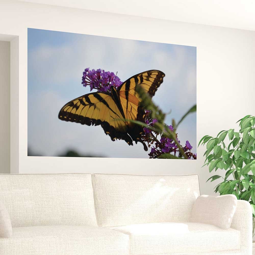 47.5x72 inch Butterfly Resting Decal Installed Above Sofa