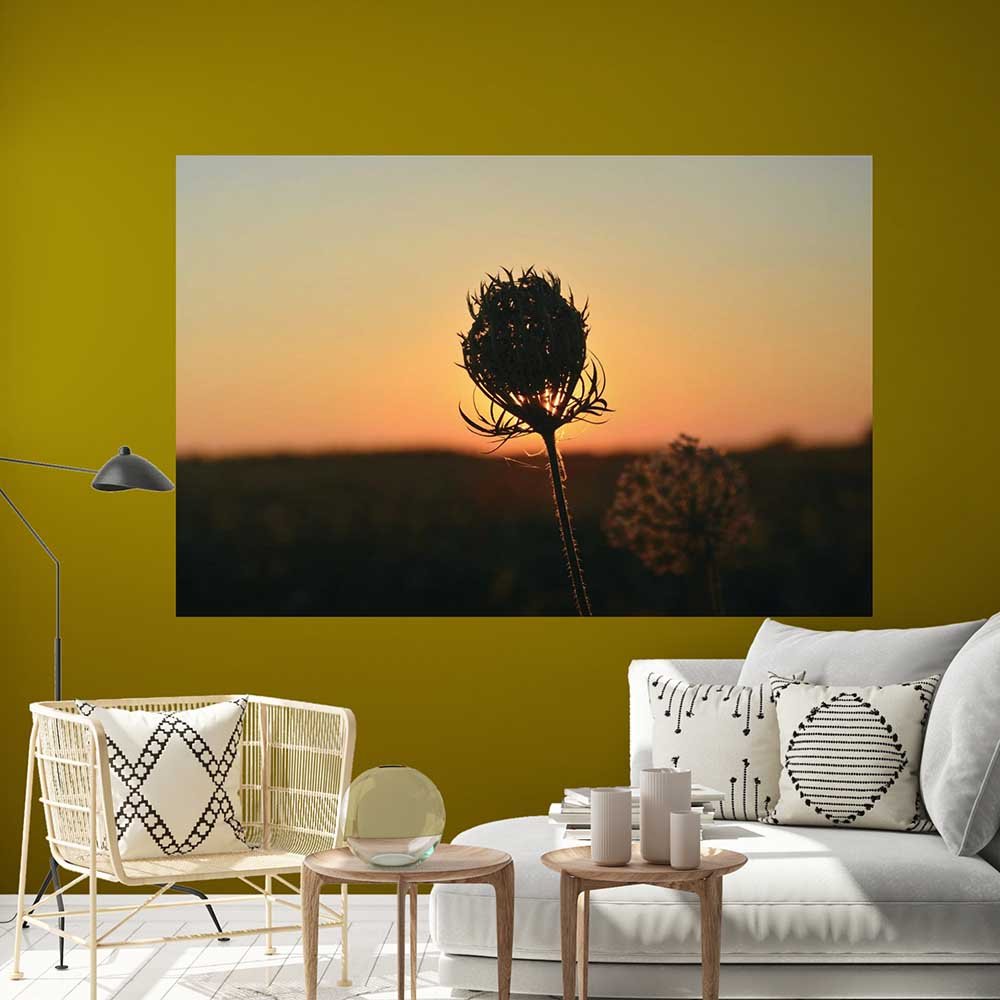 47.5x72 inch Sunset Flower Decal Installed in Living Area