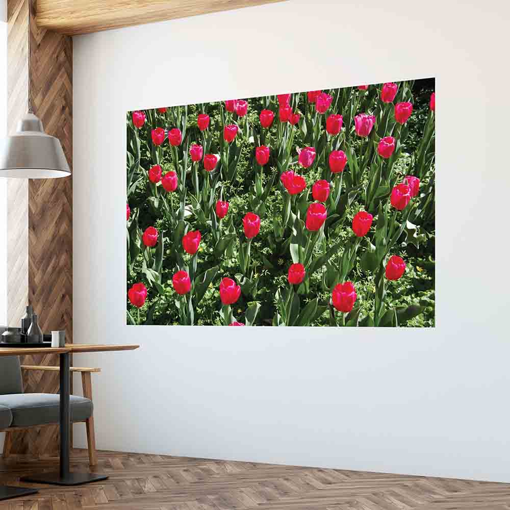 48x72 inch Flowers Decal Installed in Waiting Room