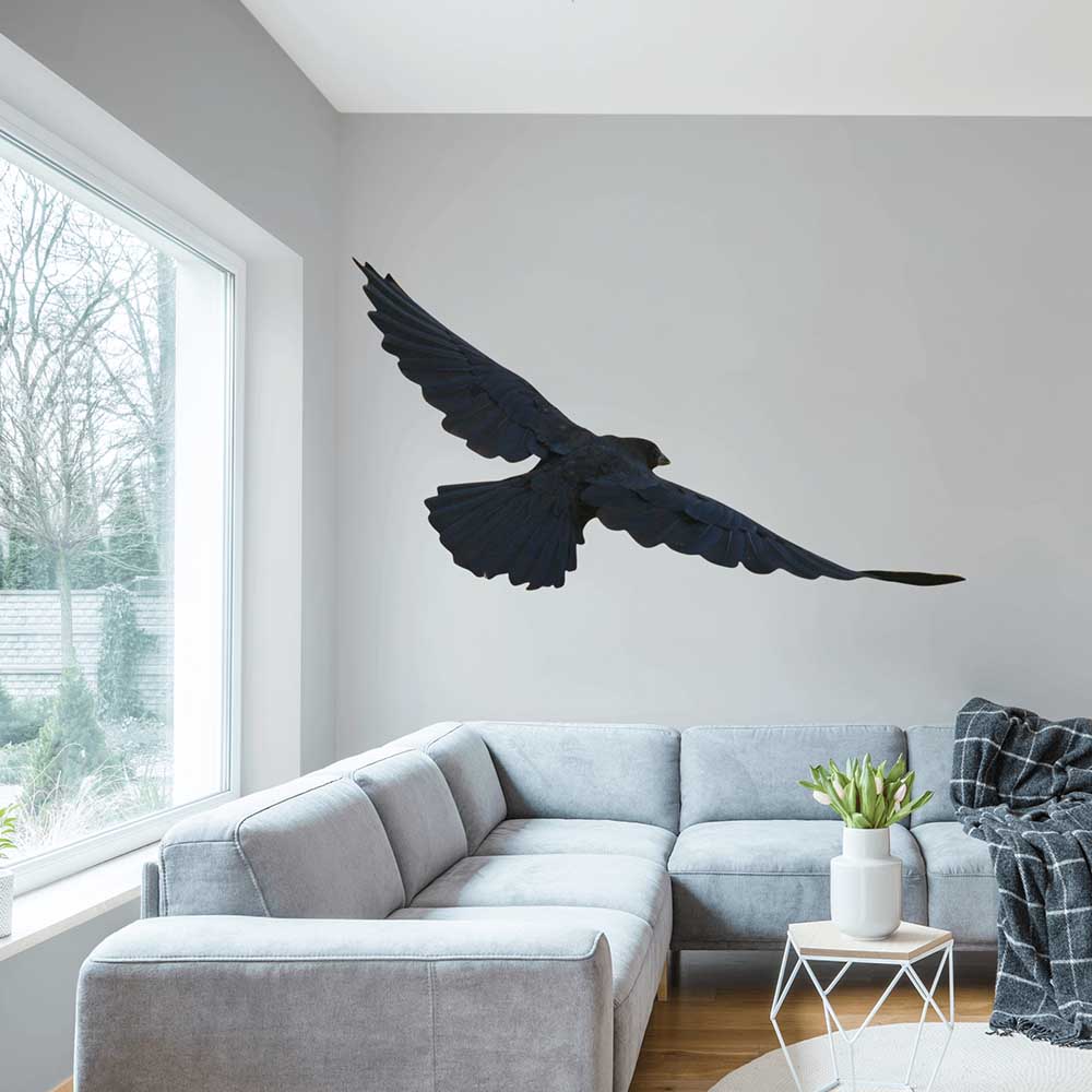 39x72 inch Die-Cut Crow Decal Installed in Living Room