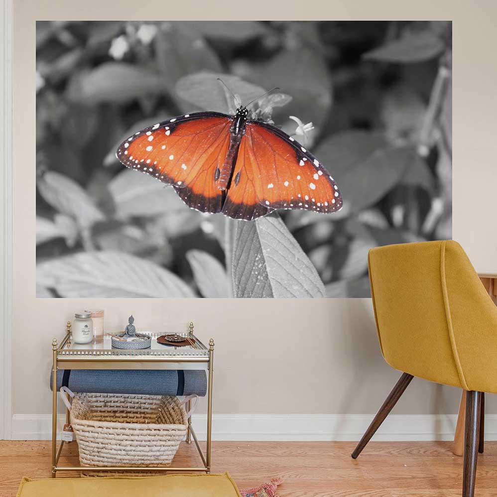 48x72 inch Butterfly Decal Installed in Dining Area
