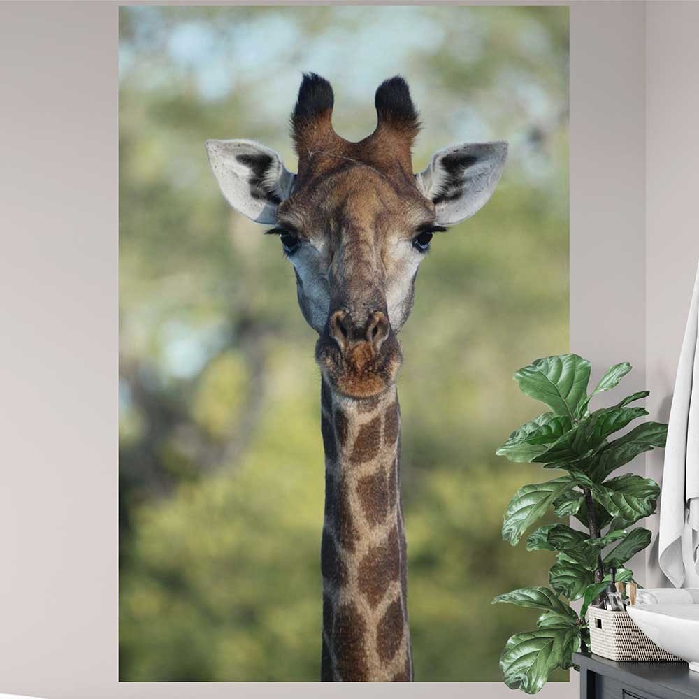 48x72 inch Giraffe Decal Installed on Wall