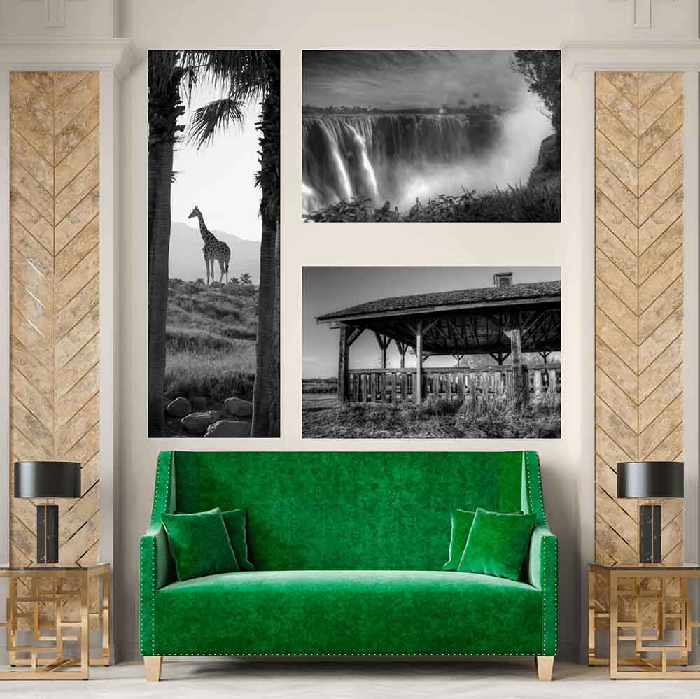 24.5x72 inch Panoramic Giraffe Decal Installed in Living Room