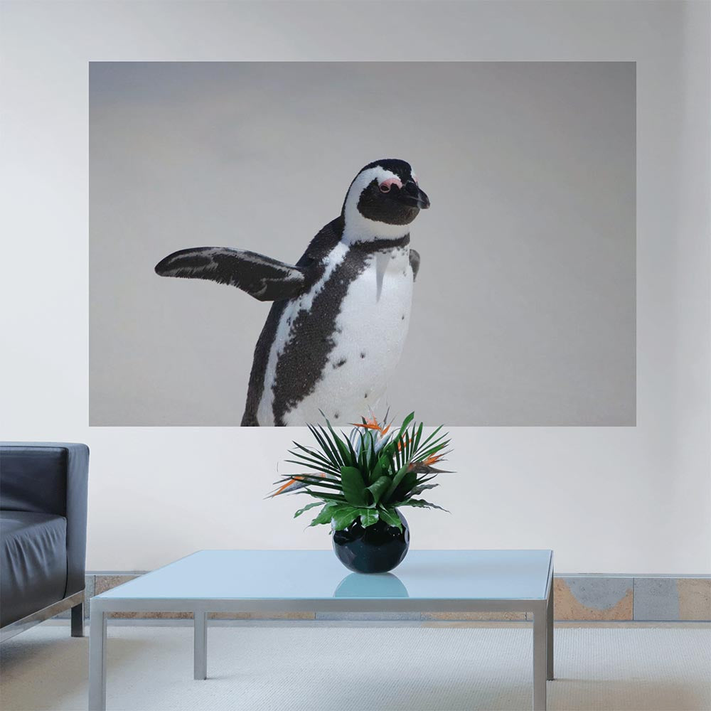 48x72 inch Penguin Waving Decal Installed in Living Room