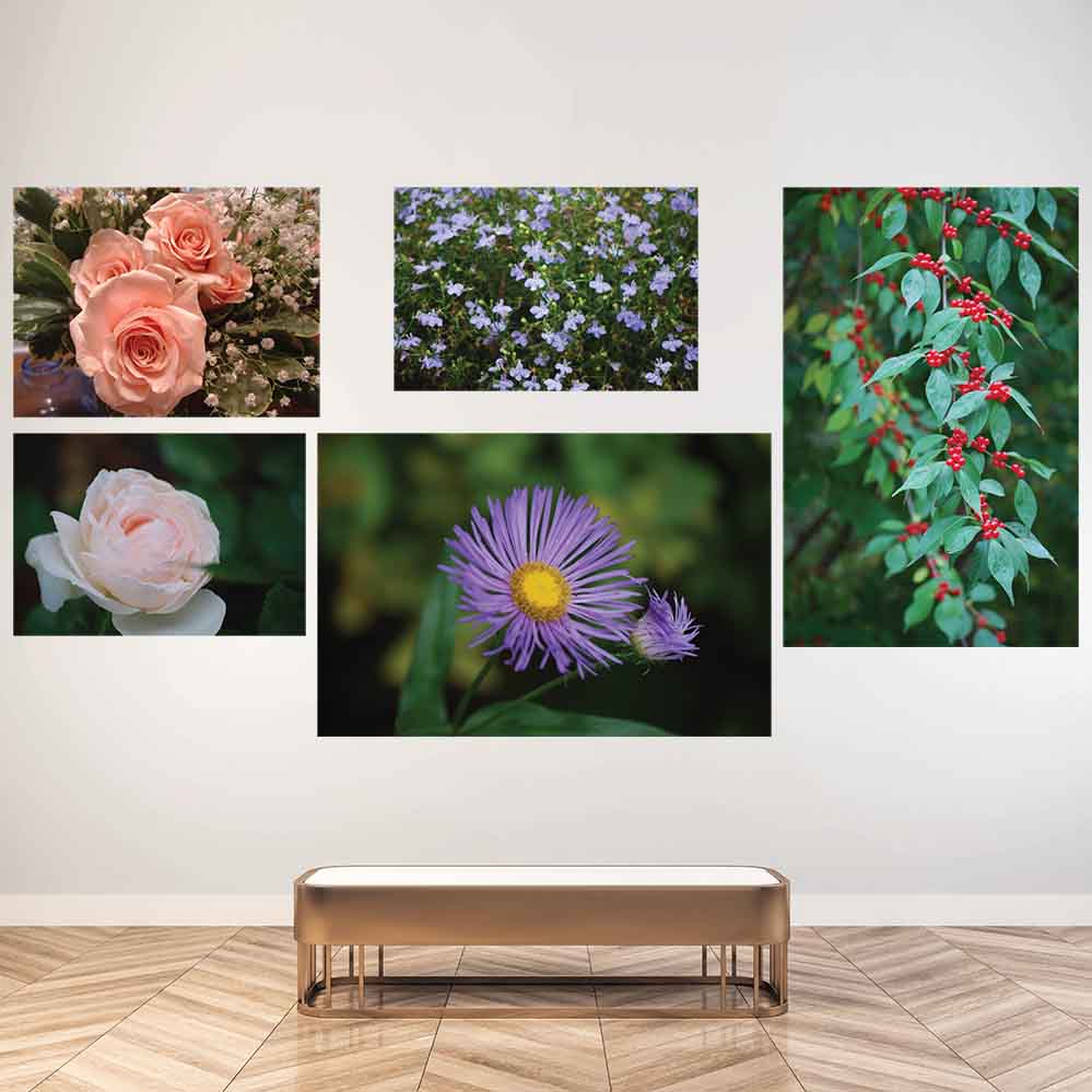 48x72 inch Purple Daisey Poster Displayed in Gallery