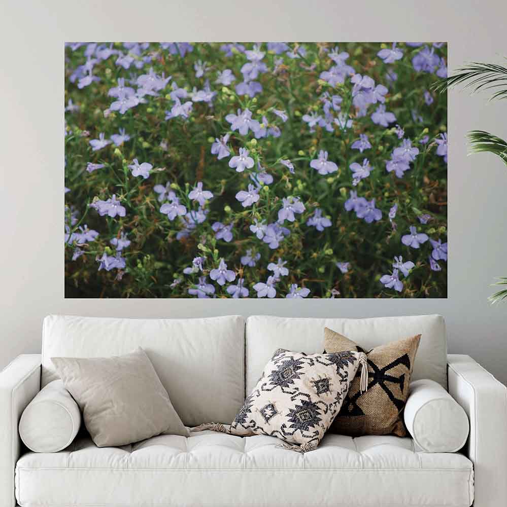 48x72 inch Purple Flowers Poster Displayed Above Sofa