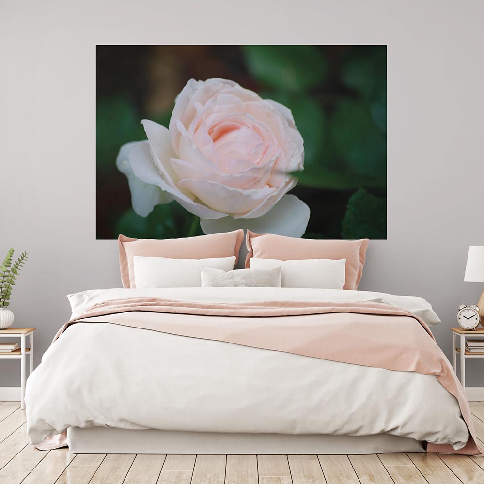 48x72 inch Pink Rose Poster Displayed in Bedroom