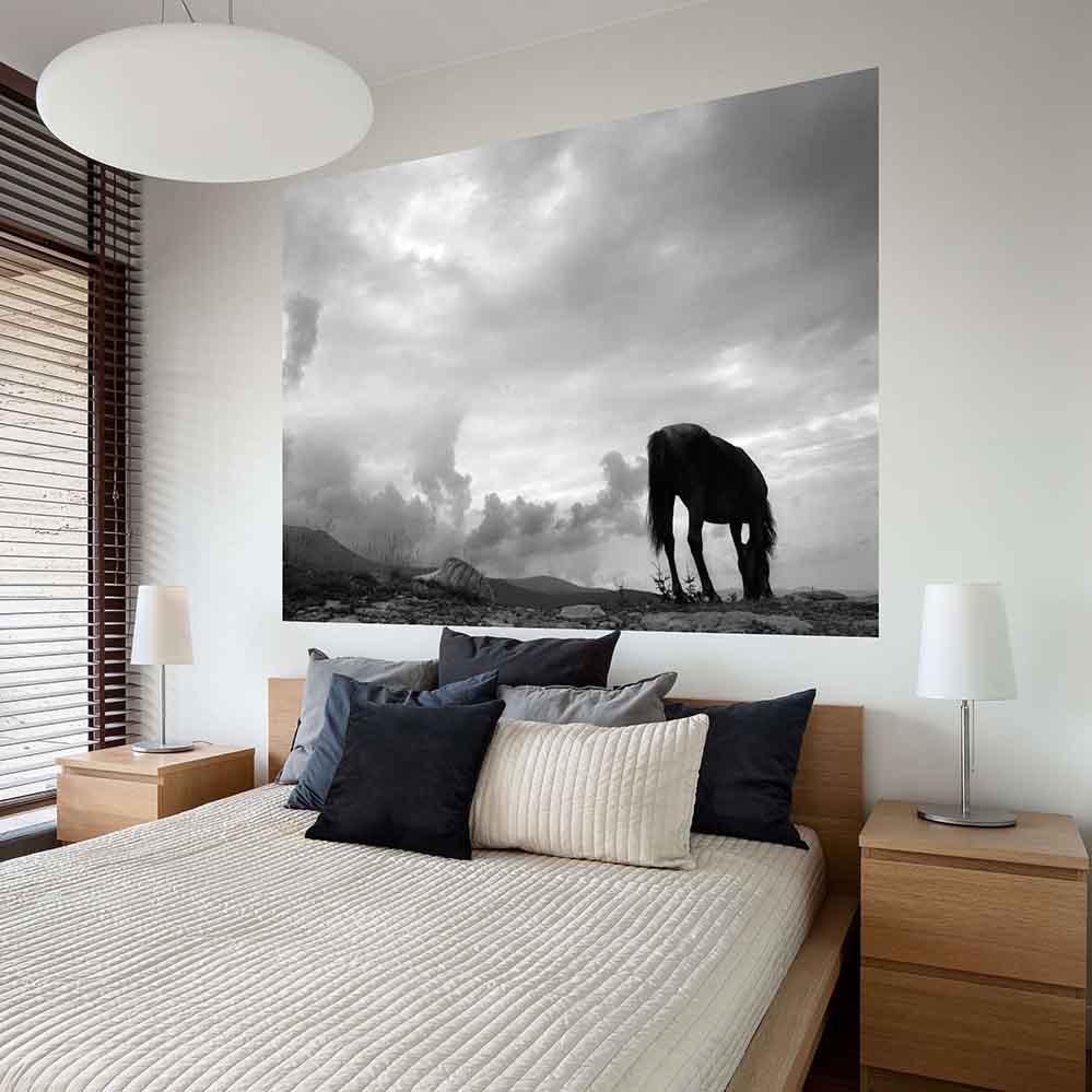 72 inch Grazing Horse Gloss Poster Installed Above Bed