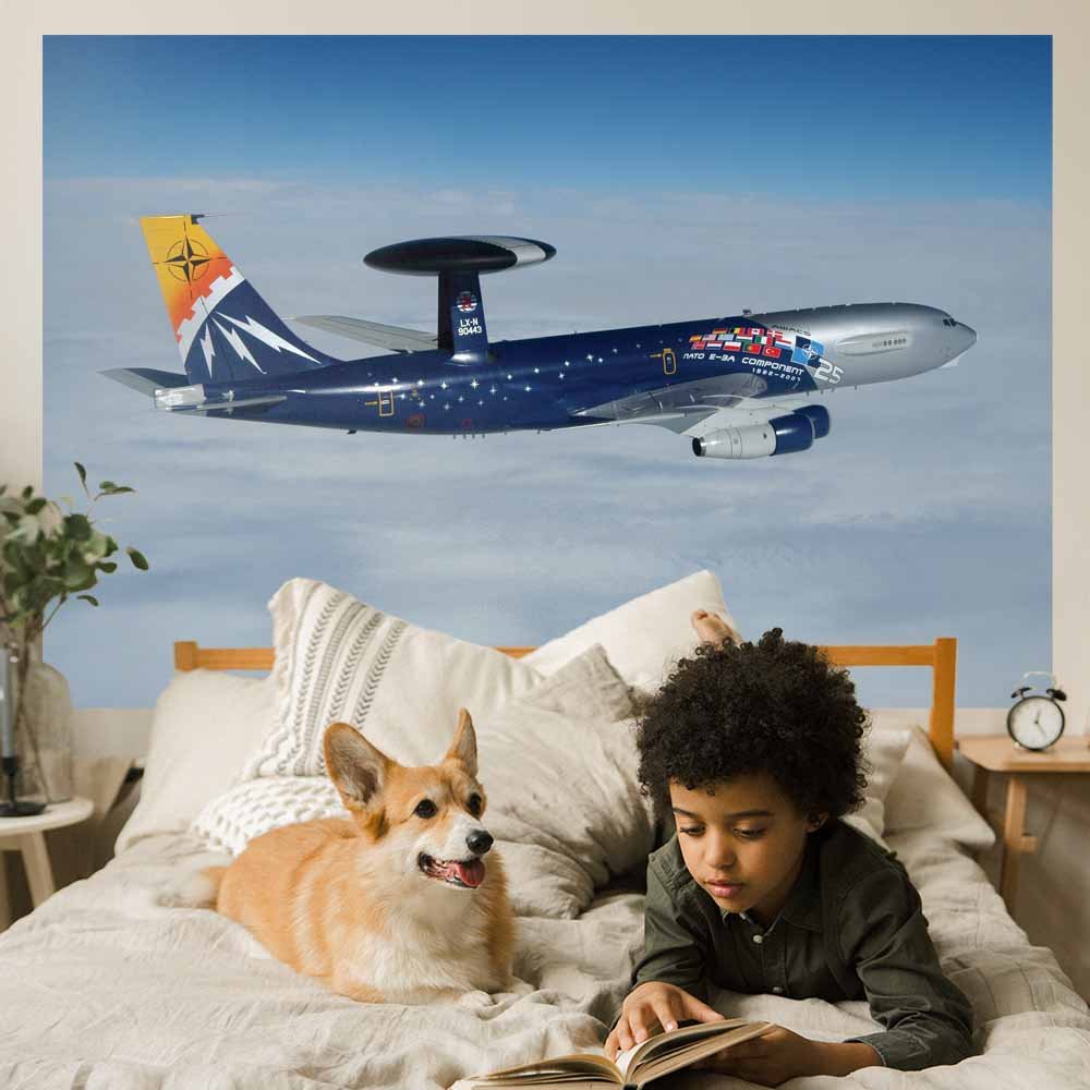 72 inch Radar Plane Wall Decal Installed in Boys Room