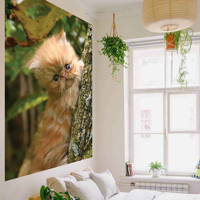 72 inch Baby Kitten in Tree Wall Decal Installed Above Bed