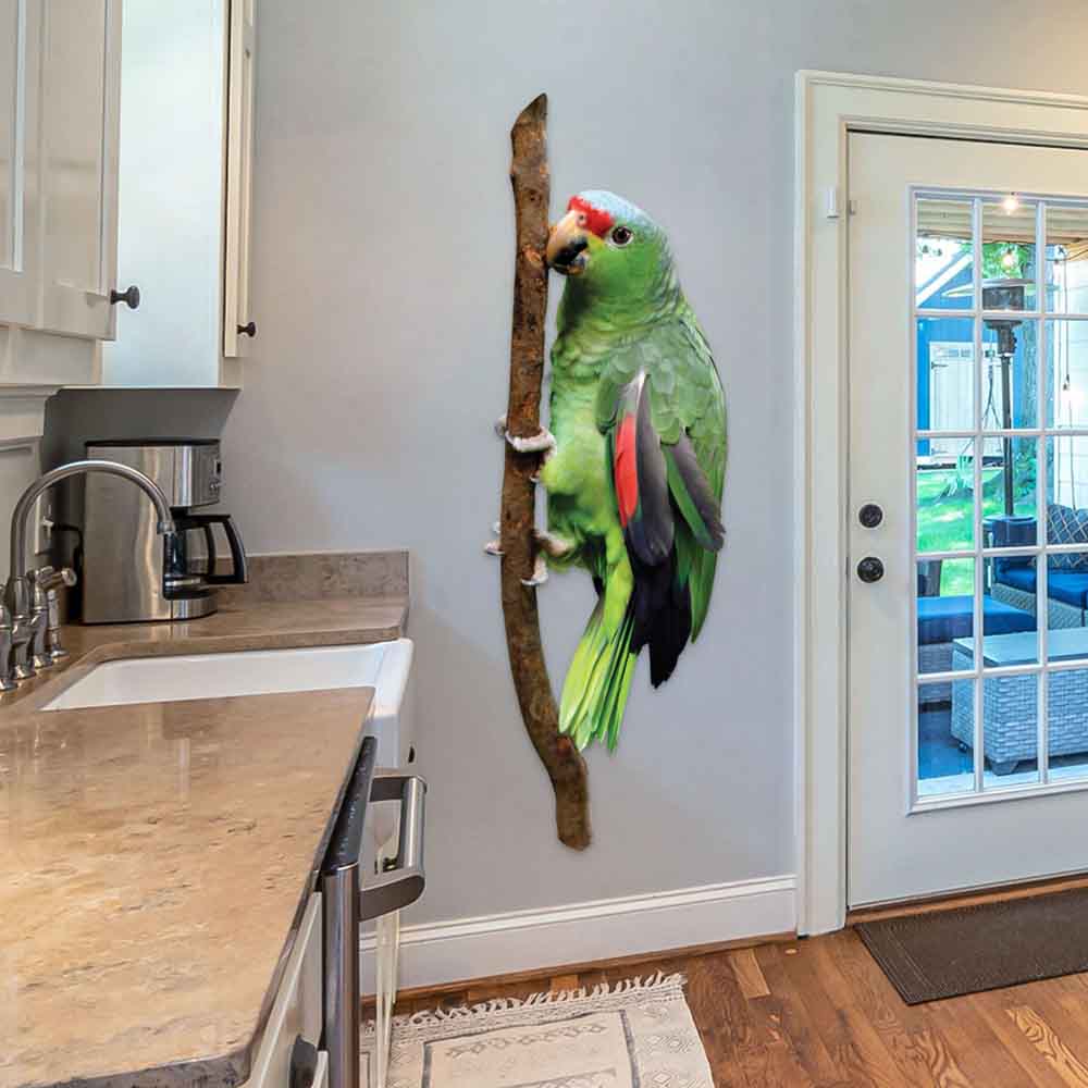 72 inch Parrot Die-Cut Decal Installed in Kitchen