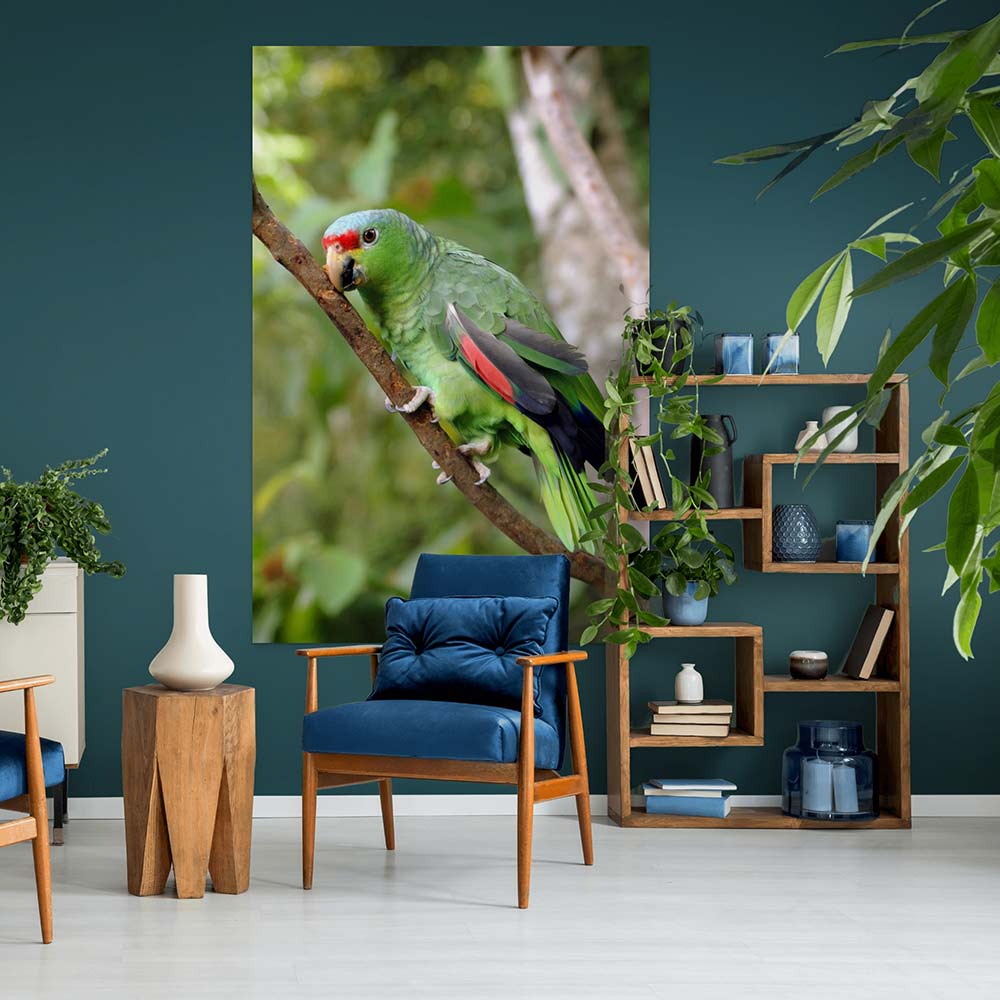 72 inch Parrot on Branch Poster Displayed in Living Room