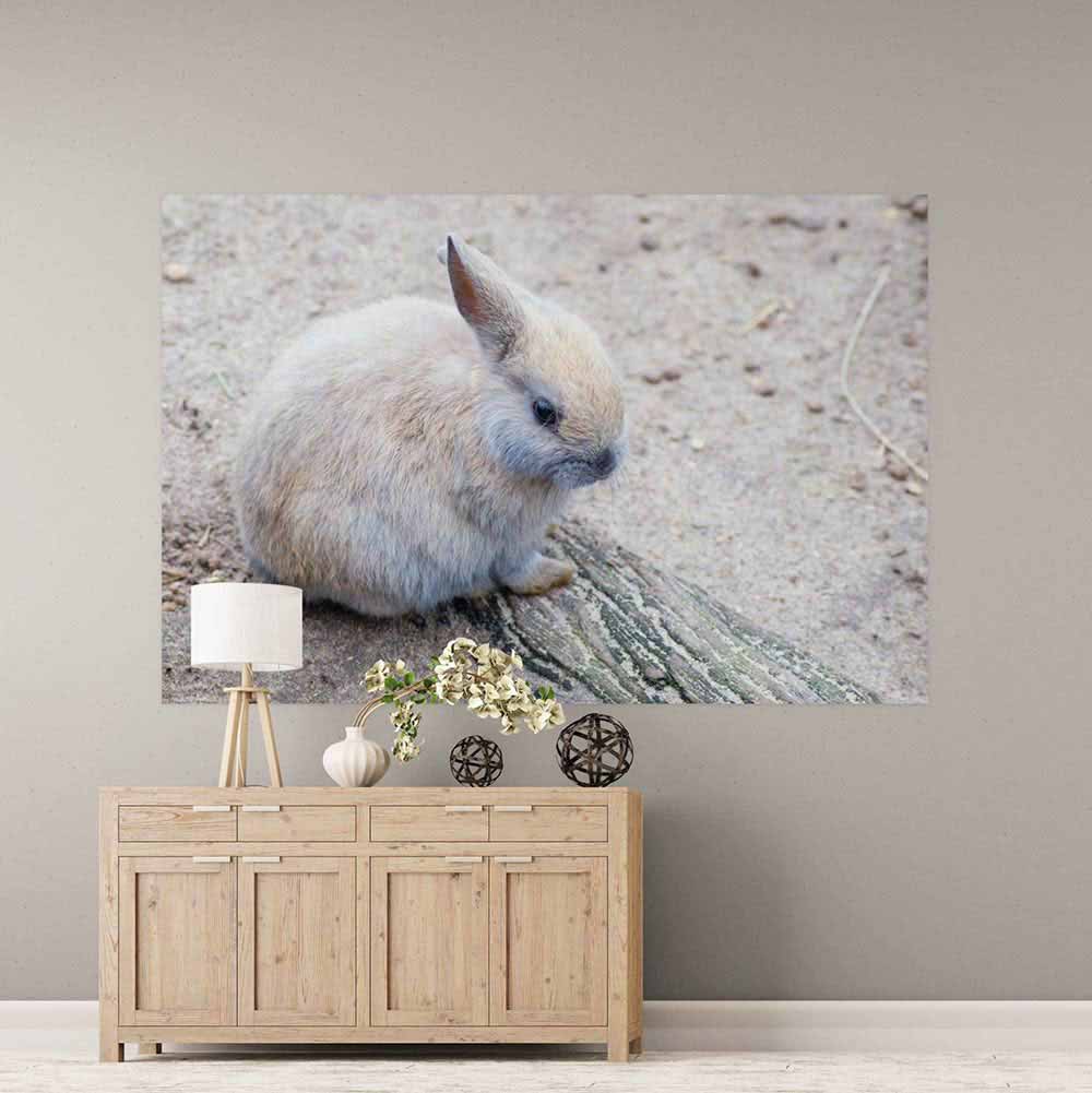 72 inch Baby Bunny Gloss Poster Installed in Foyer