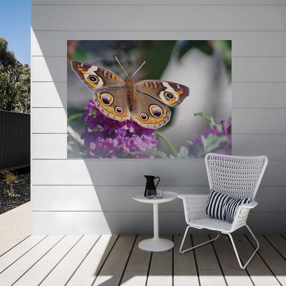 51x72 inch Butterfly on Purple Flower Decal Installed on Porch