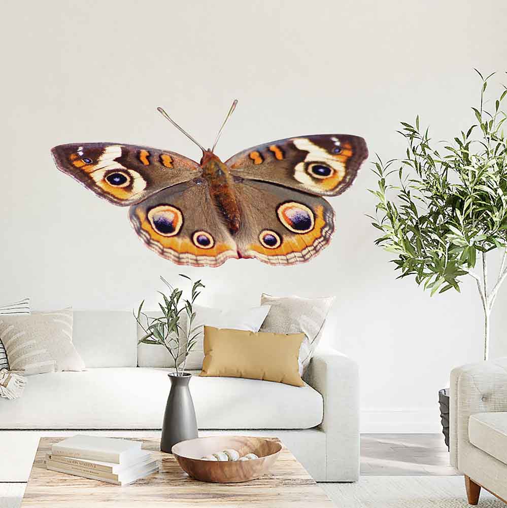 44x72 inch Spotted Butterfly Decal Installed Above Sofa