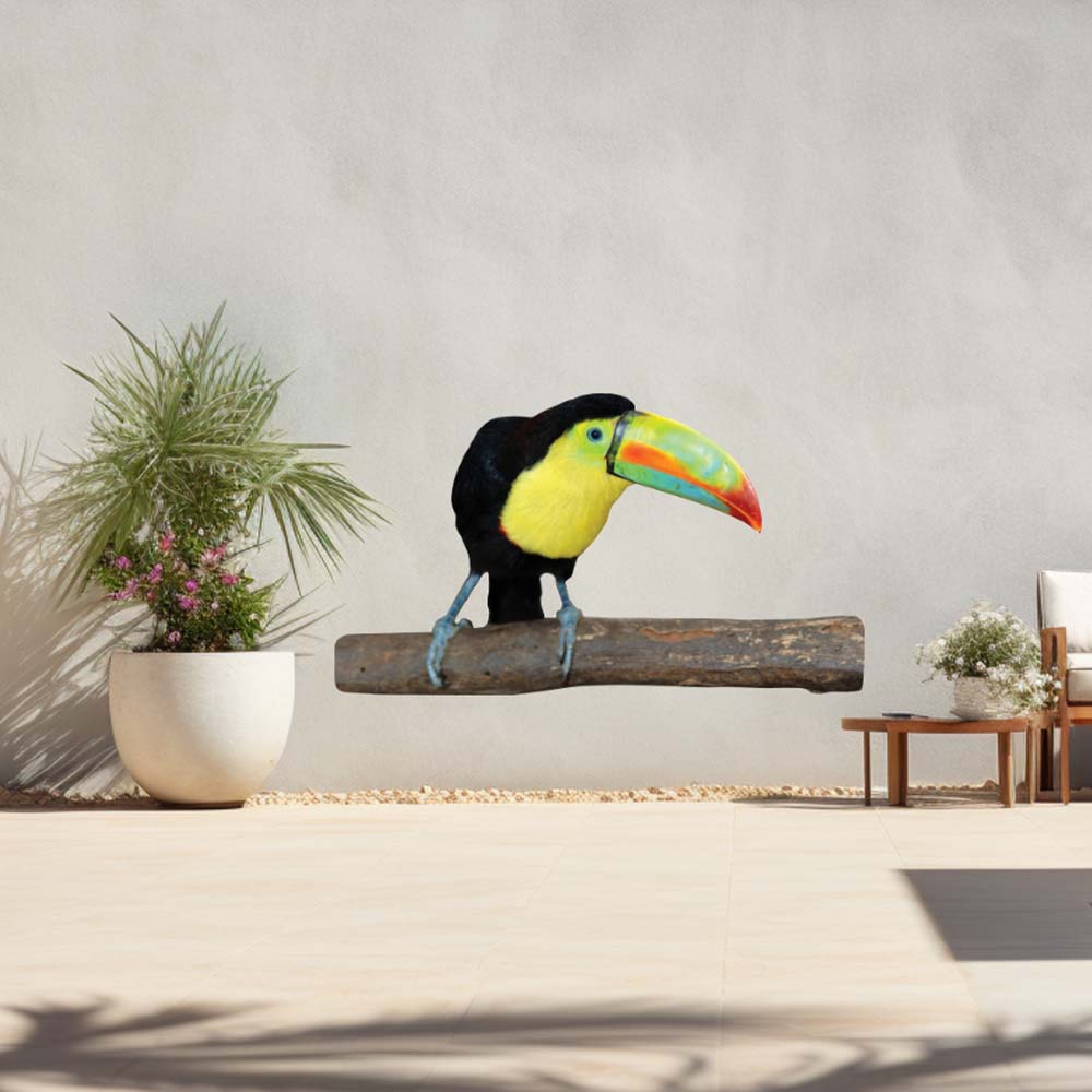 72 inch Toucan Die-Cut Decal Installed on Wall