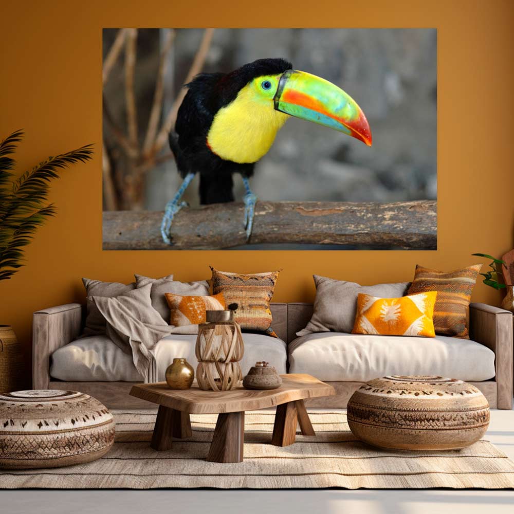 72 inch Toucan on Branch Poster Displayed Above Sofa