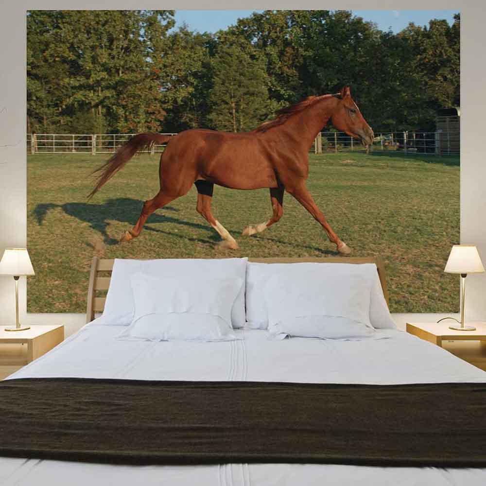 72 inch Trotting Horse in Field Gloss Poster Displayed in Bedroom