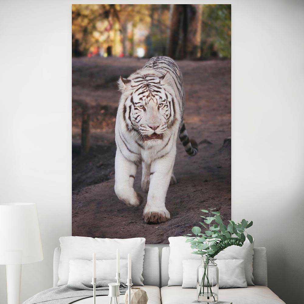 72 inch White Tiger Poster Displayed in Living Room