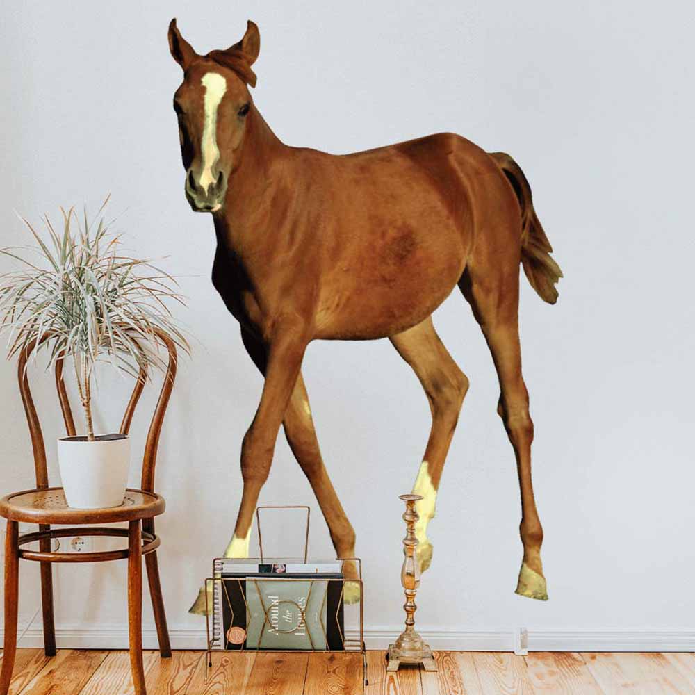 72 inch Young Foal Die-Cut Decal Installed on Wall