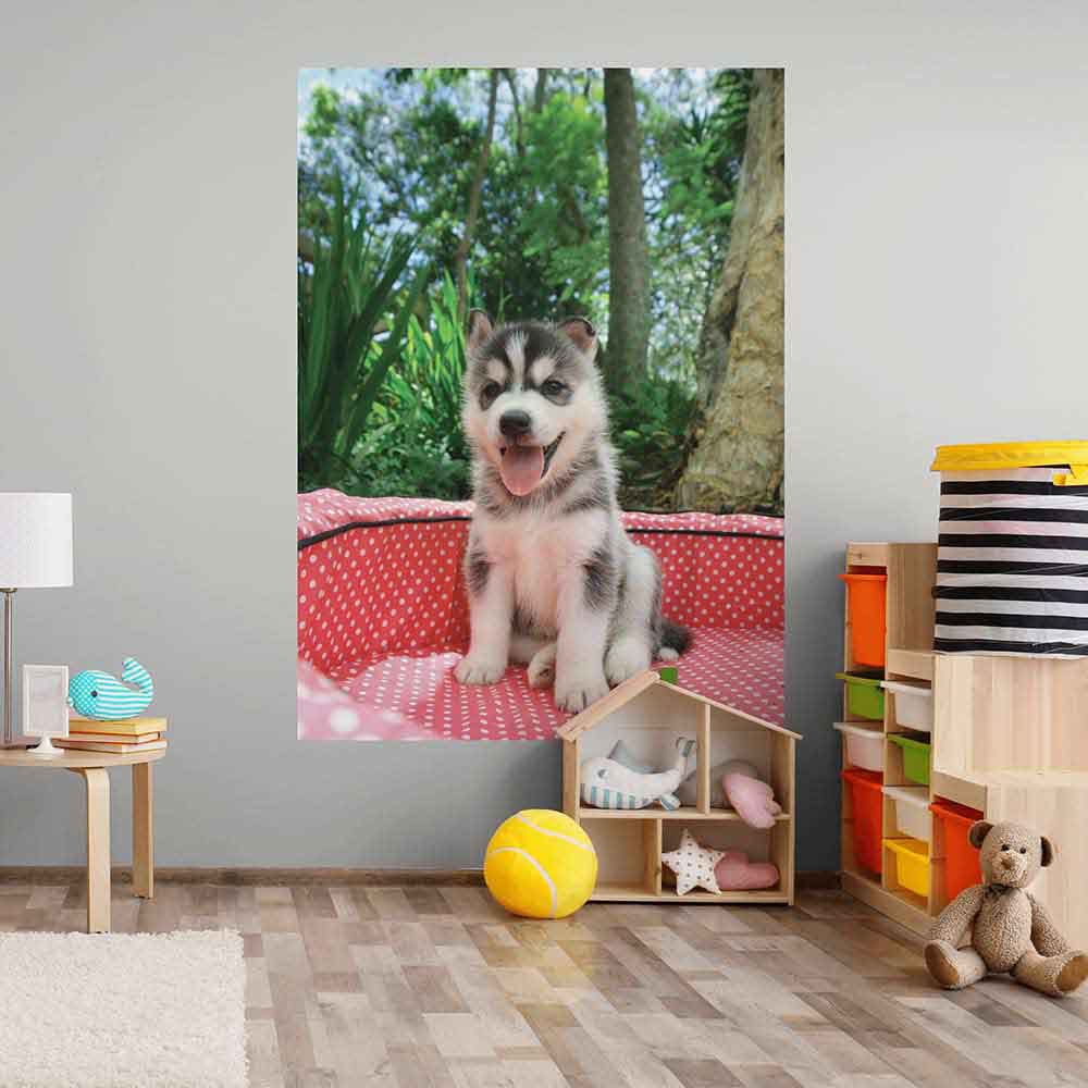 72 inch Husky Puppy Decal Portrait Installed in Kids Playroom