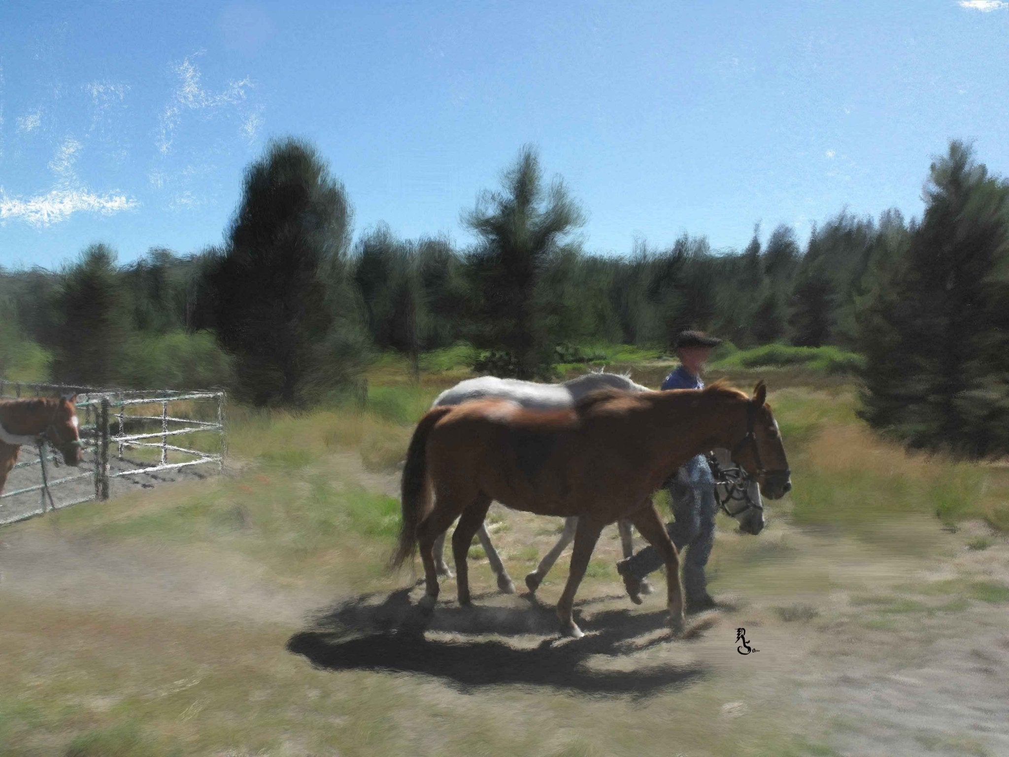 🐎 Tymeless Wonders 