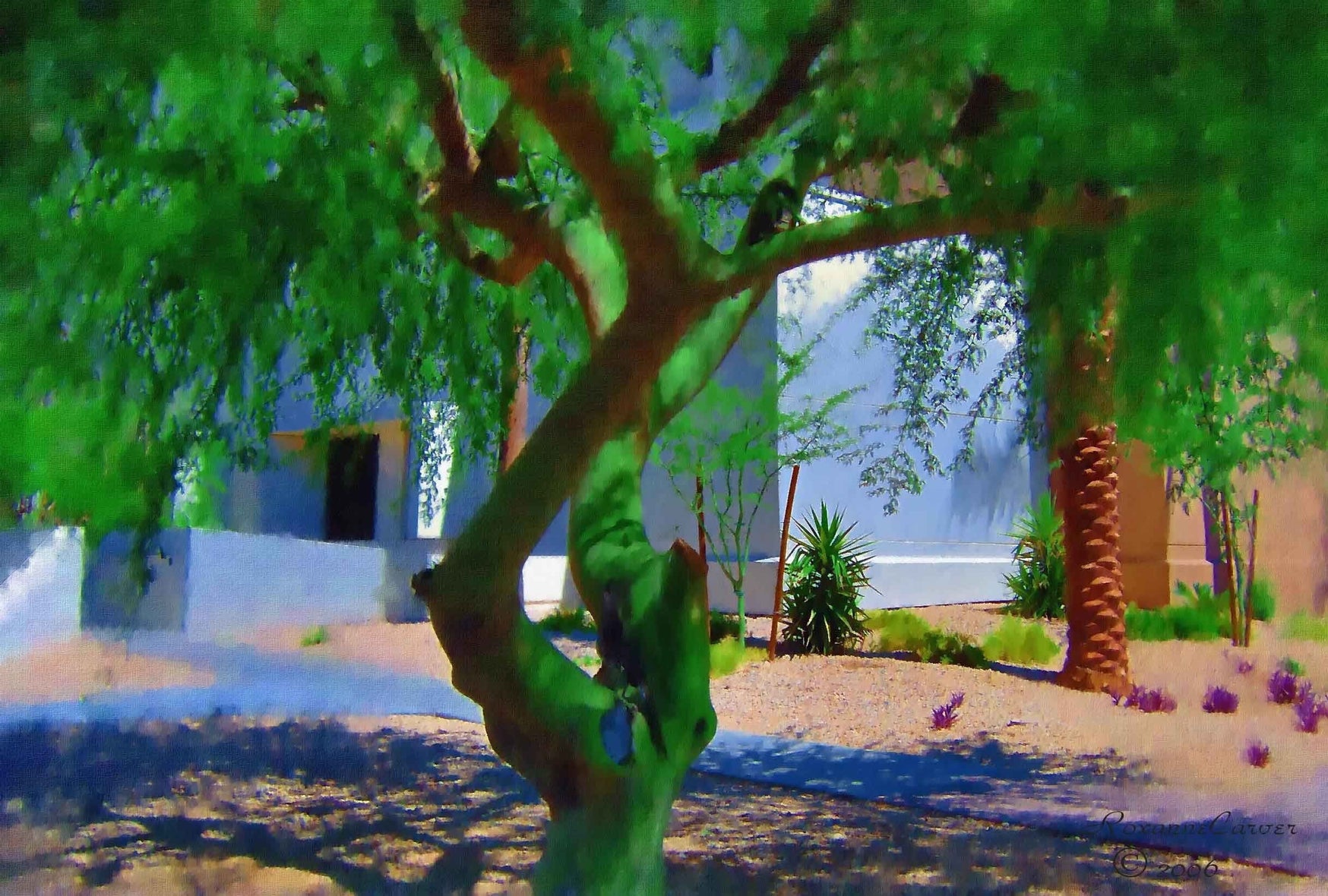 🌳 Tymeless Wonders Arizona Willow Tree Glossy Poster (4 Sizes Available)