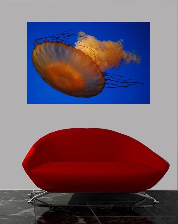 Guernsey Jellyfish III Wall Decal (5 Sizes Available)
