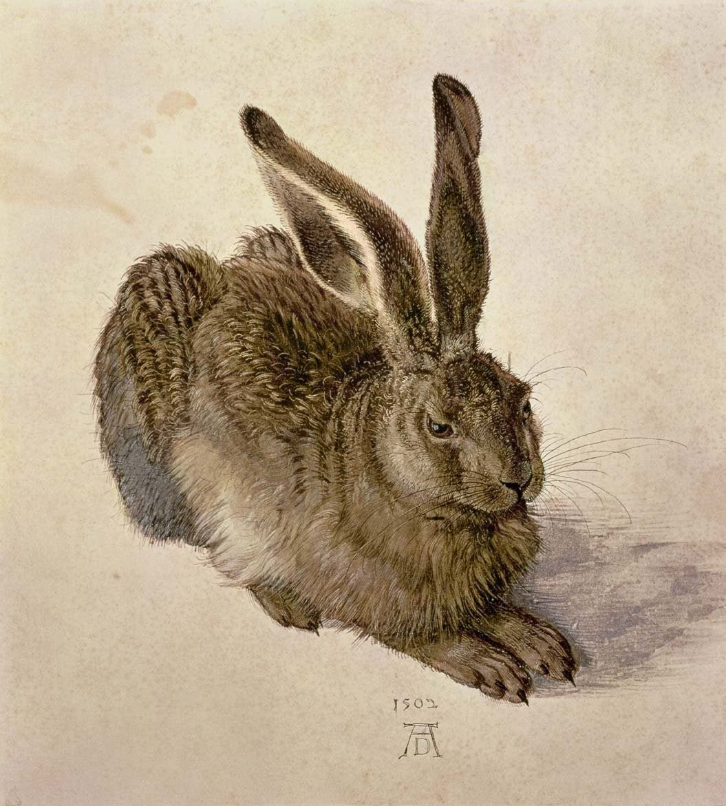 Durer 
