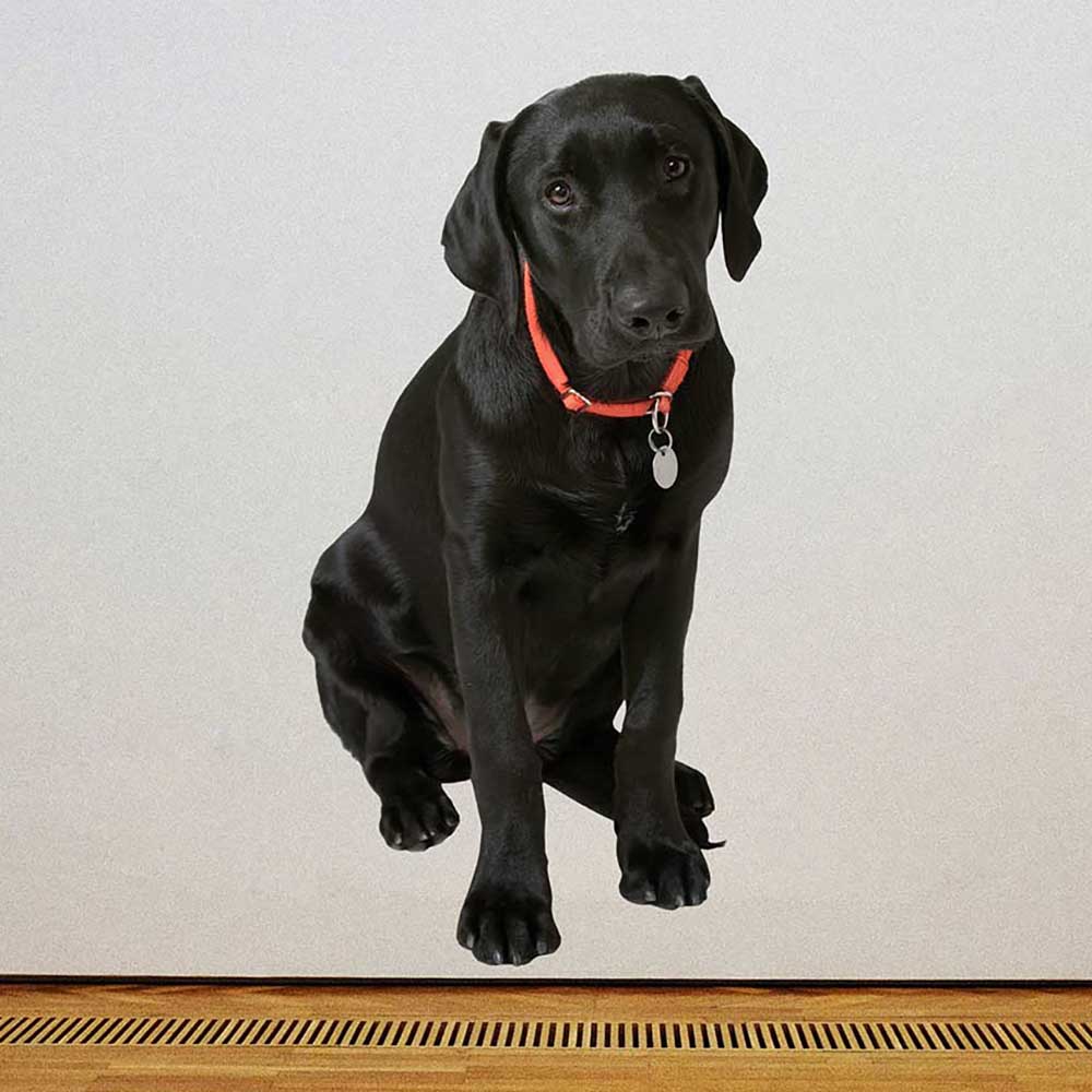 84 inch Black Lab Die-Cut Decal Installed on Wall