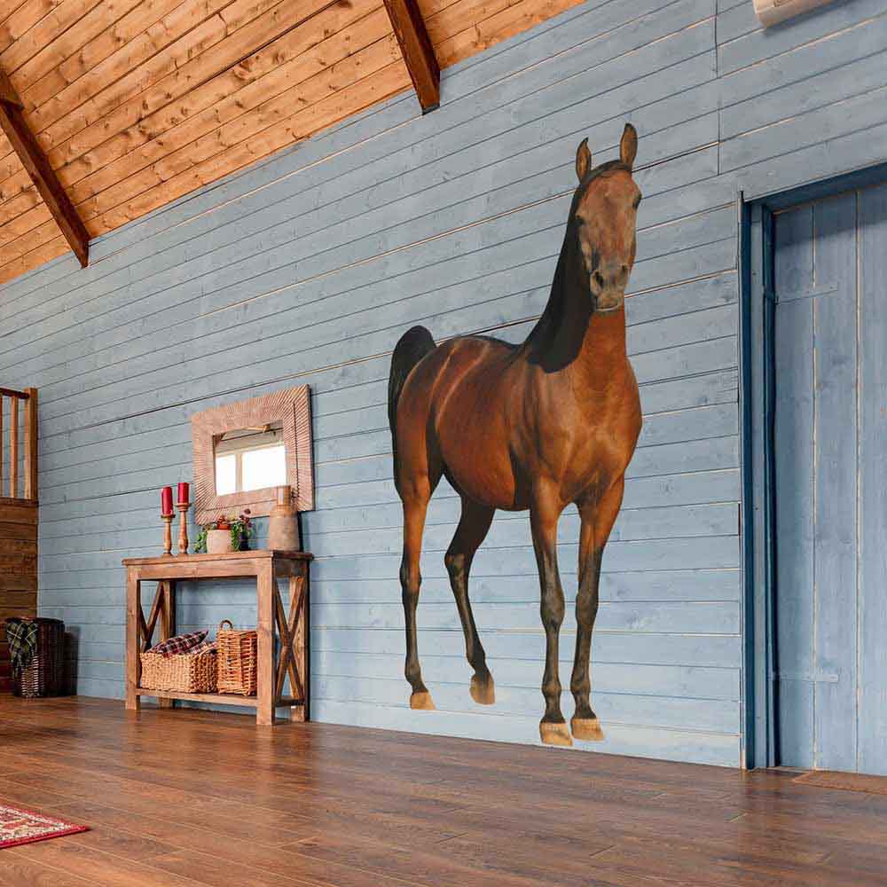 84 inch Horse Die-Cut Decal Installed on Wall