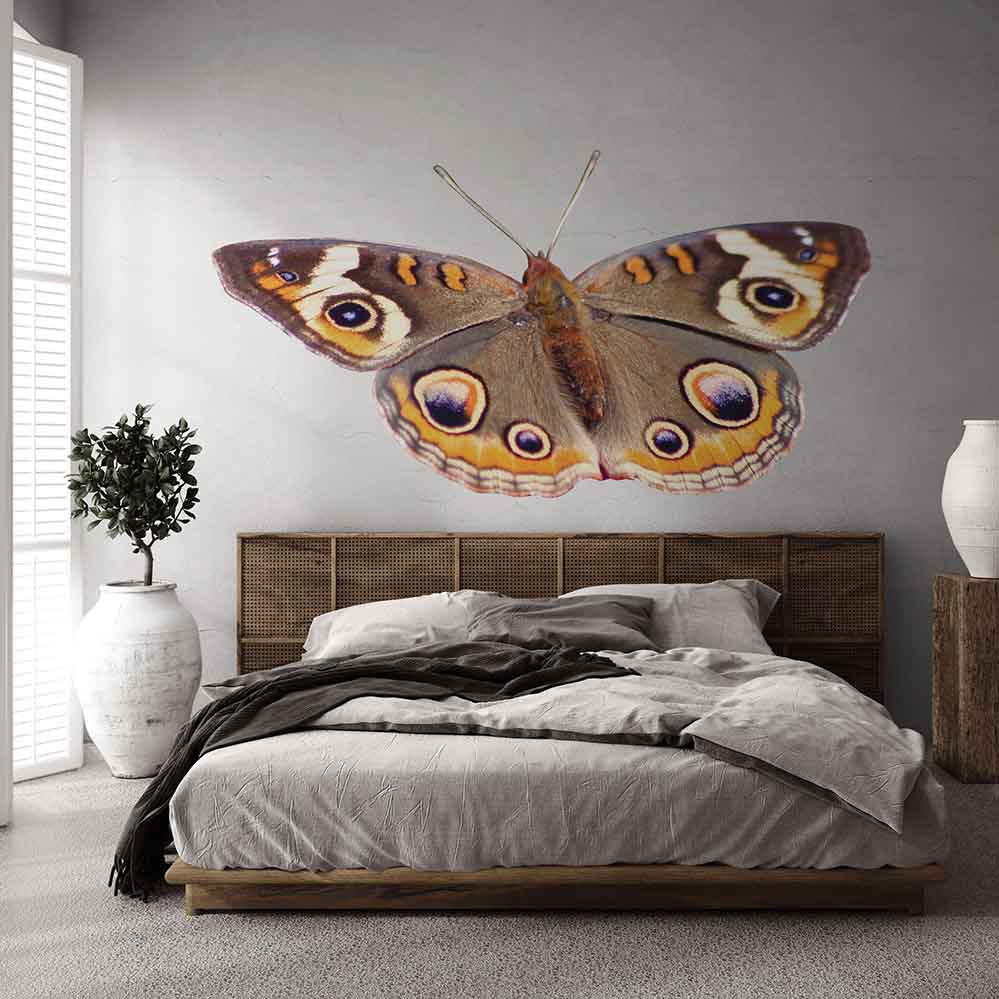 51x84 inch Spotted Butterfly Decal Installed Above Bed